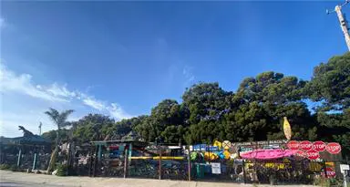 A beach property surrounded by trees